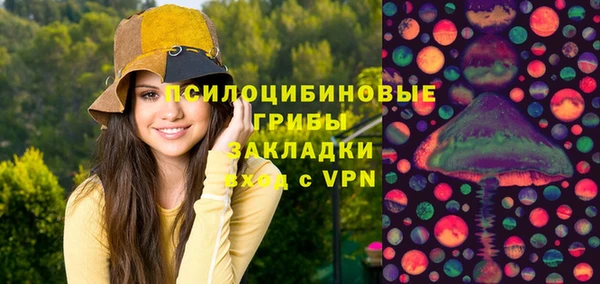 бошки Алексеевка