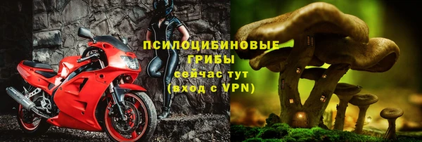 мдпв Нягань