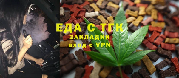 хмурый Алзамай
