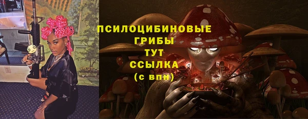 хмурый Алзамай